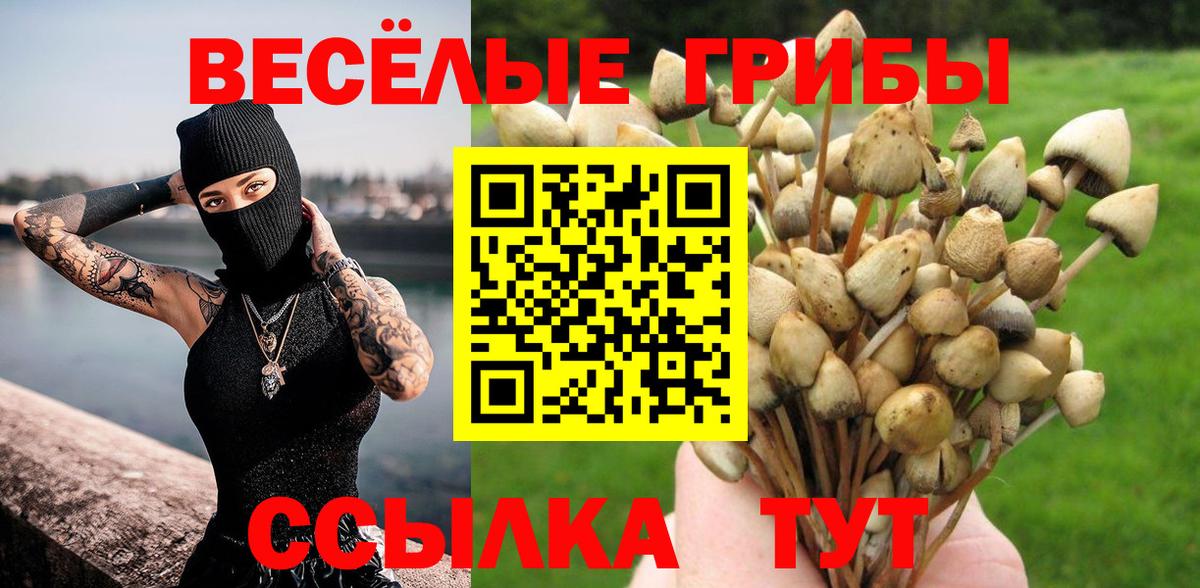 Галлюциногенные грибы мухоморы  Вход с VPN  Галлюциногенные грибы Cubensis  Карталы 