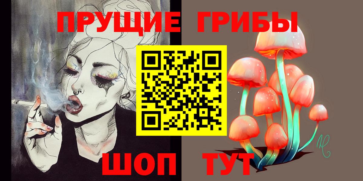Псилоцибиновые грибы Cubensis Карталы